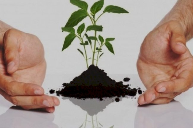 Uzman emlakçının birincil önceliği gayrimenkul sahibine cazip değer üretmektir. 